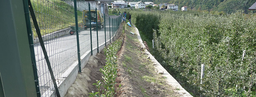 Servizi per esterni: gestione area verde Servizi per esterni: gestione area verde