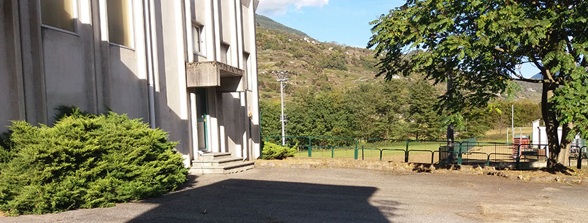 Servizi per esterni: pulizia area verde Servizi per esterni: pulizia area verde